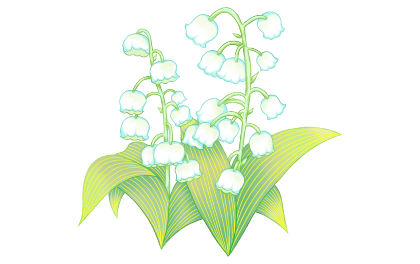 植物清新插画铃兰花朵元素素材