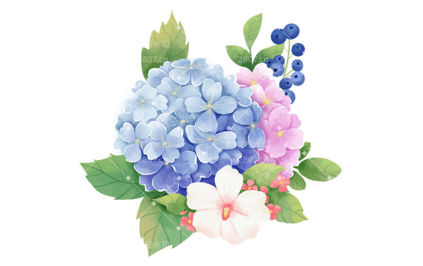 植物通用插画花朵组合元素素材