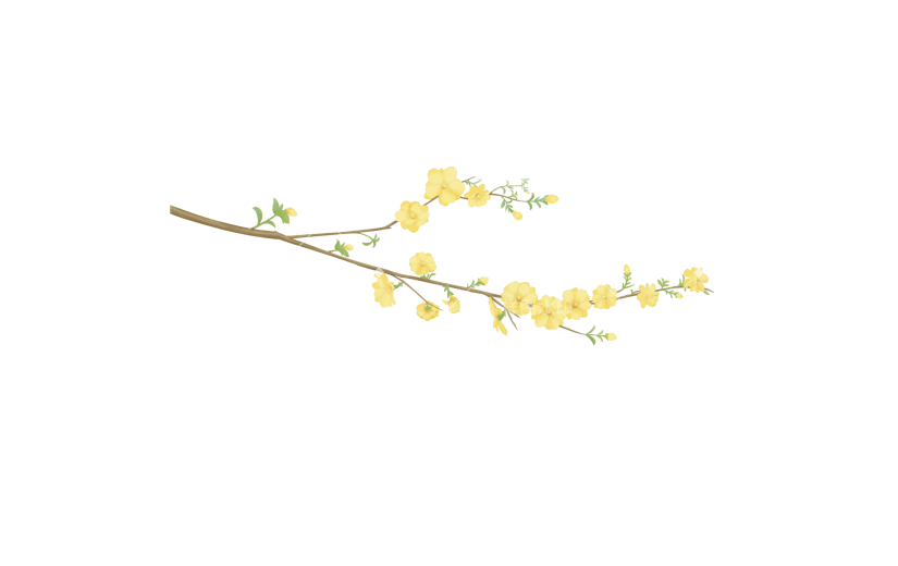 手绘黄色迎春花花卉植物元素