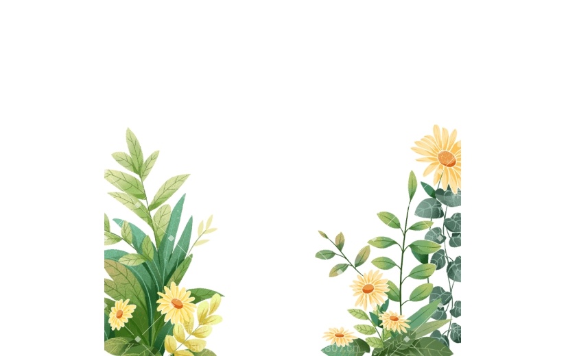 清新插画植物花朵花卉边框