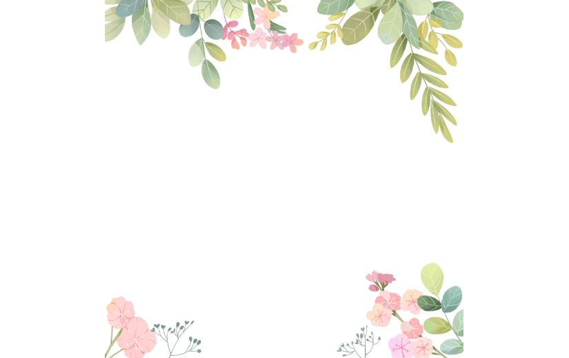 清新插画植物花朵花卉边框