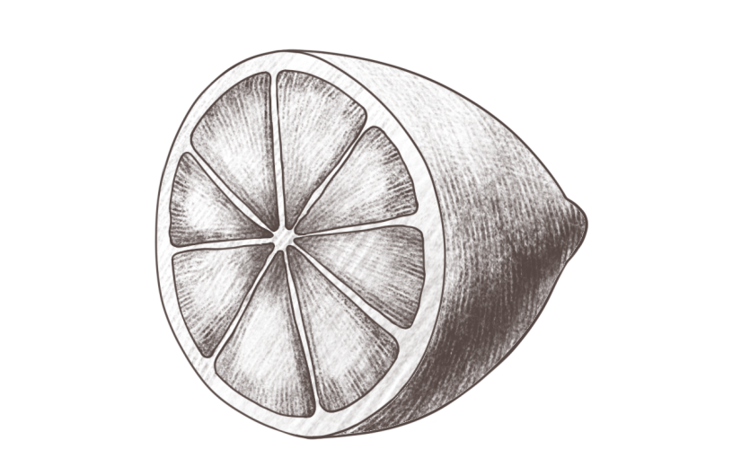 手绘素描柠檬水果元素