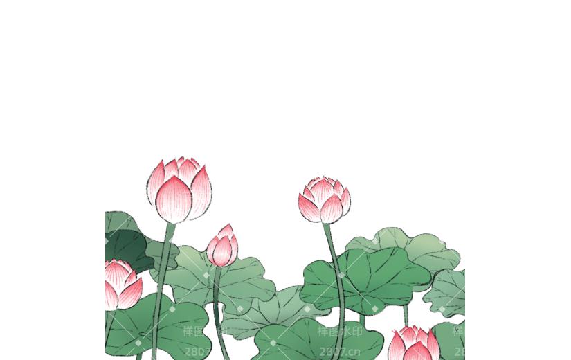 夏天古风插画荷花荷叶