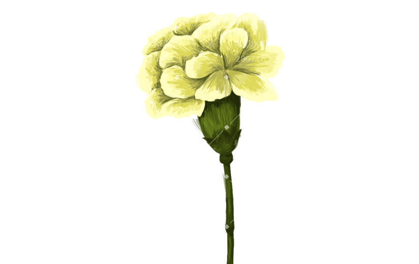 手绘白色花朵油画元素