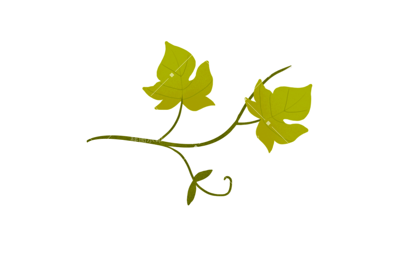 手绘风-植物贴纸-南瓜叶