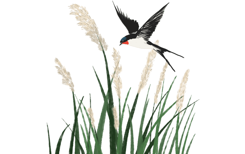 立春&春天国风水墨树枝花朵燕子组合元素