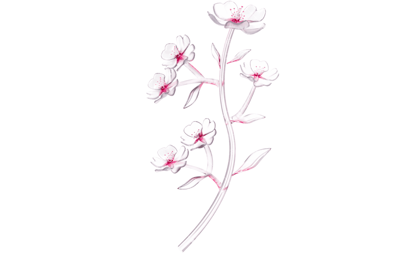 植物通用3D樱花花朵元素素材
