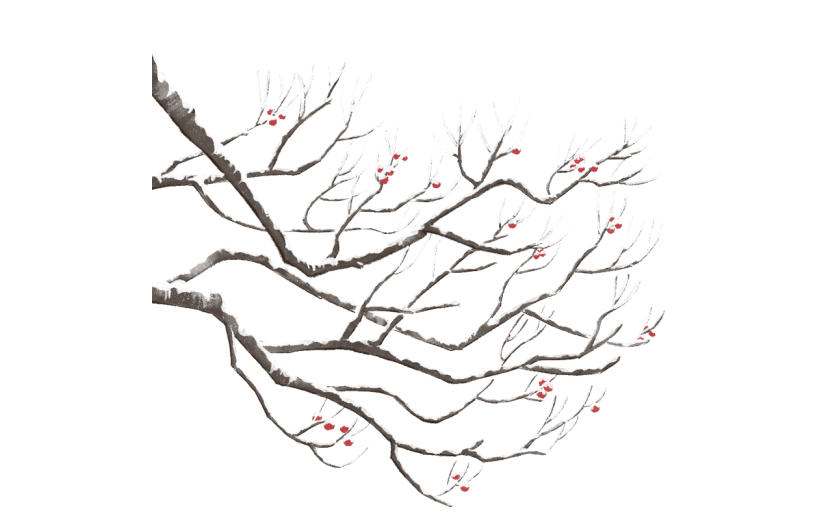 冬天冬季冬日积雪树枝植物元素