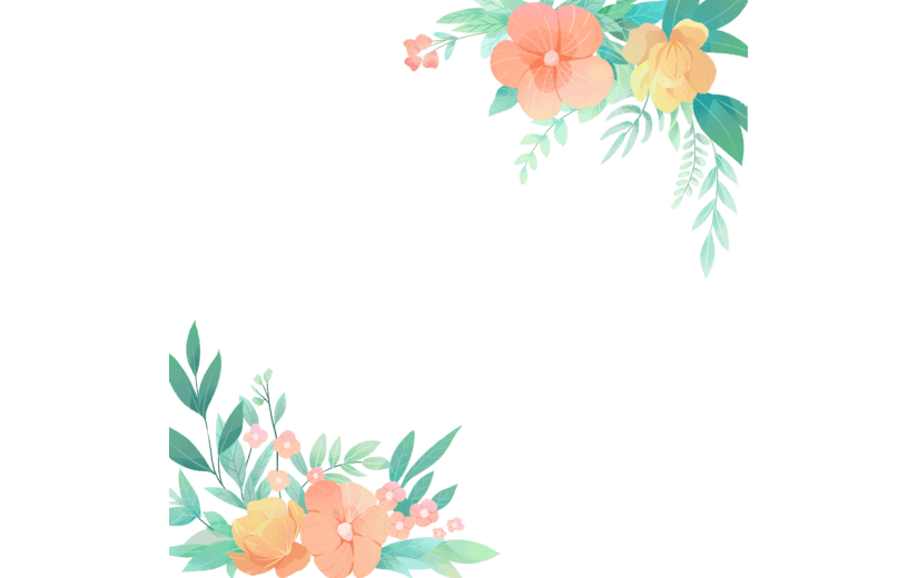 清新插画植物花朵花卉边框