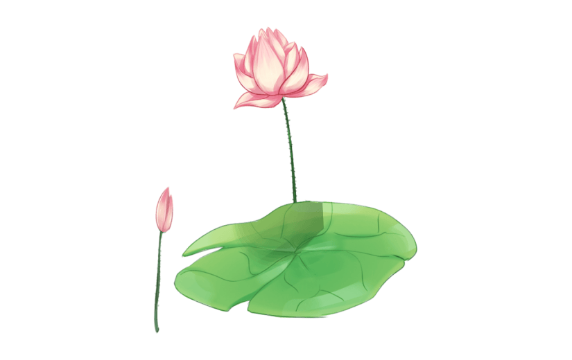 手绘荷花元素贴纸