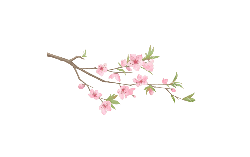 手绘粉色桃花花卉植物元素