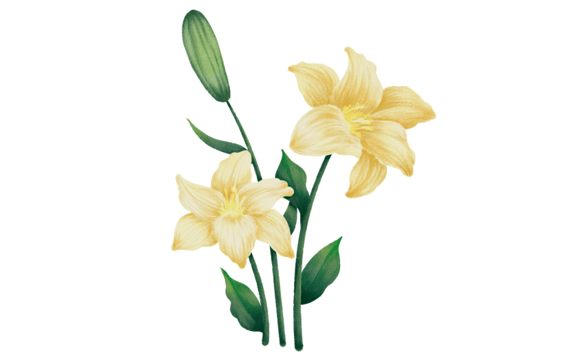 水彩百合花复古花卉贴纸