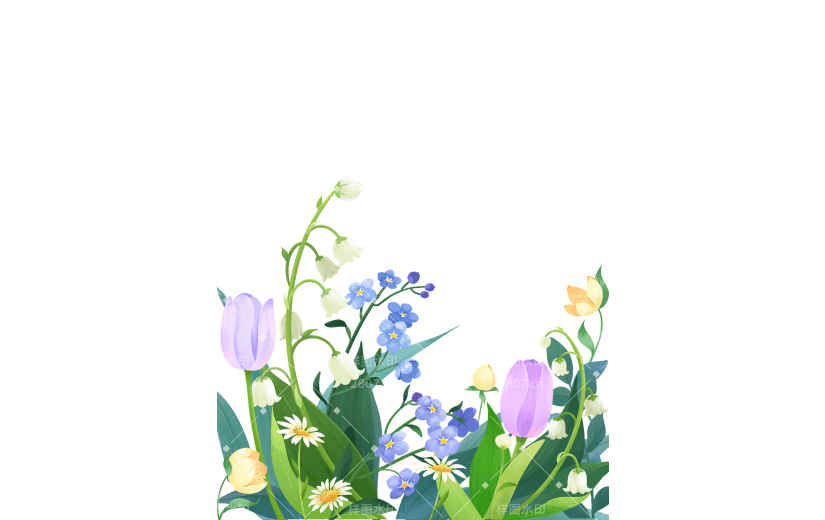 植物通用插画花朵边框元素素材