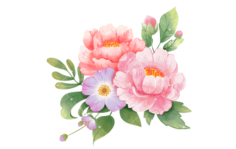植物通用插画花朵组合元素素材
