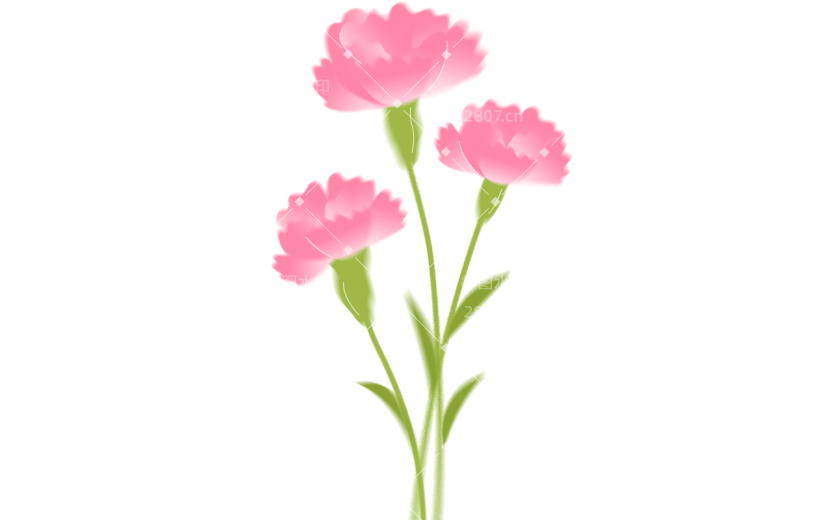 母亲节弥散康乃馨花朵植物元素素材