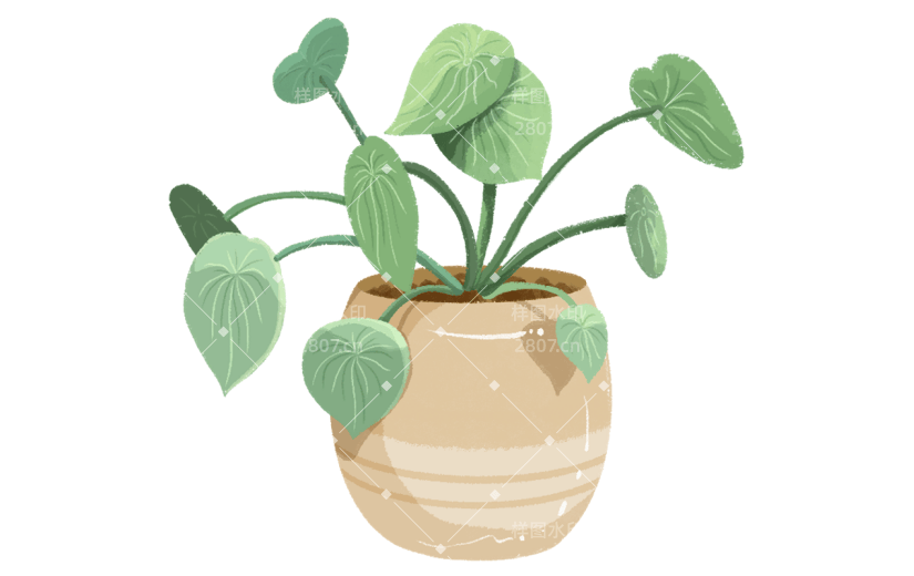 植物通用插画绿植元素素材