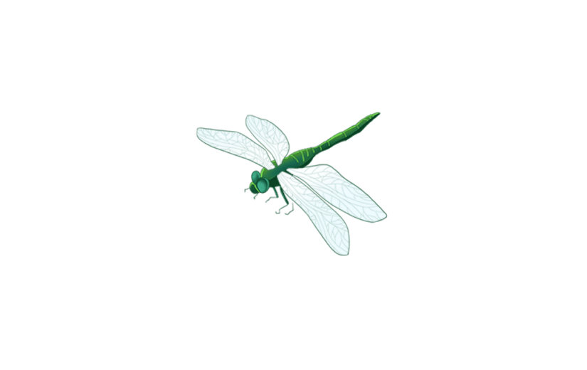 传统处暑节气蜻蜓