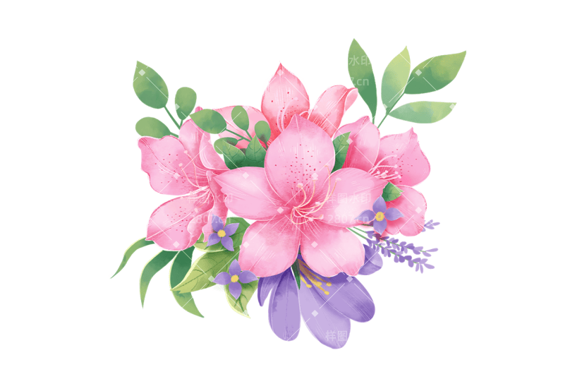 植物通用插画花朵组合元素素材