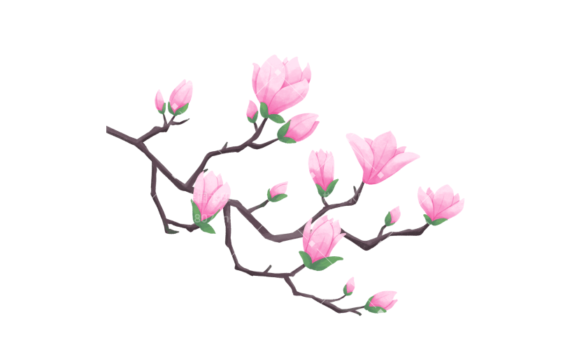 手绘粉色玉兰花花卉植物元素