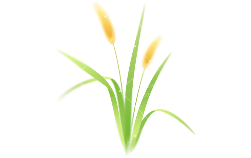 立秋弥散渐变银杏叶枫叶菊花小麦元素