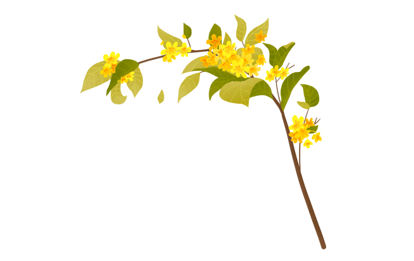 手绘风-植物贴纸-树枝