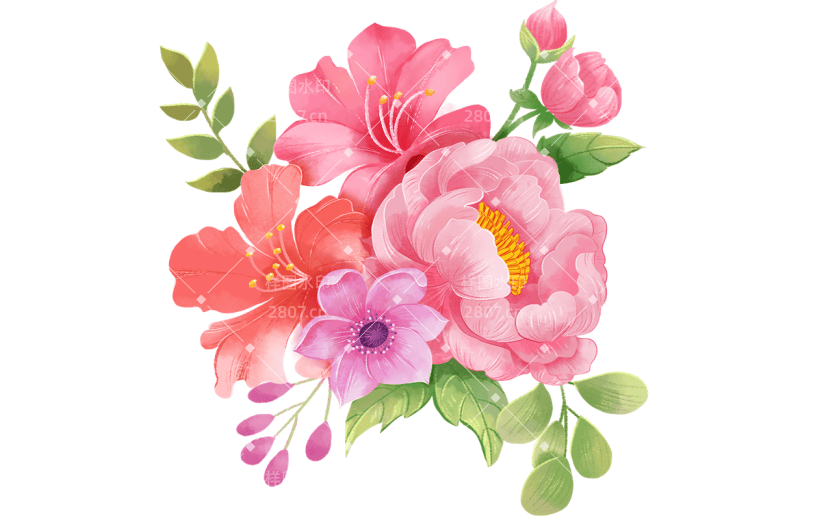 植物通用插画花朵组合元素素材