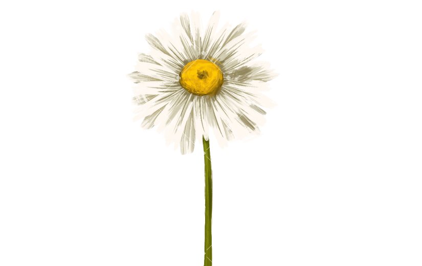手绘菊花油画元素