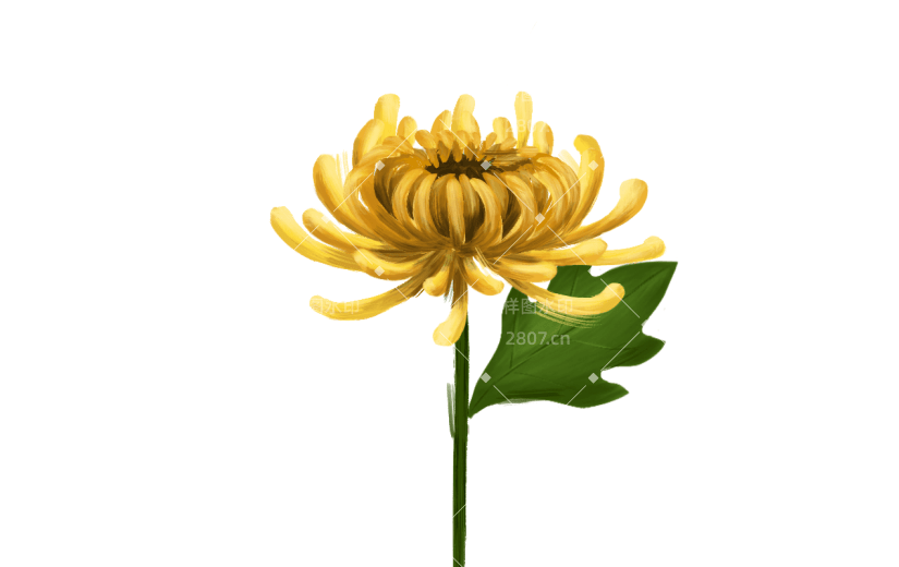 手绘黄色菊花油画元素