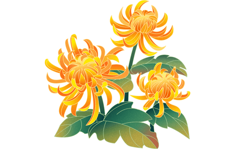 菊花元素贴纸