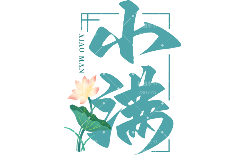 二十四节气小满通用中国风植物荷花荷叶组合绿色艺术字文字标题元素素材