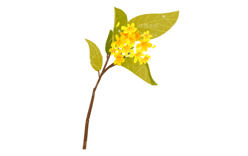 手绘风-植物贴纸-树枝