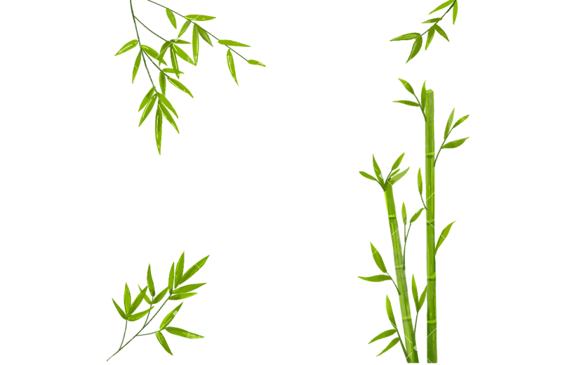 大暑树叶元素贴纸