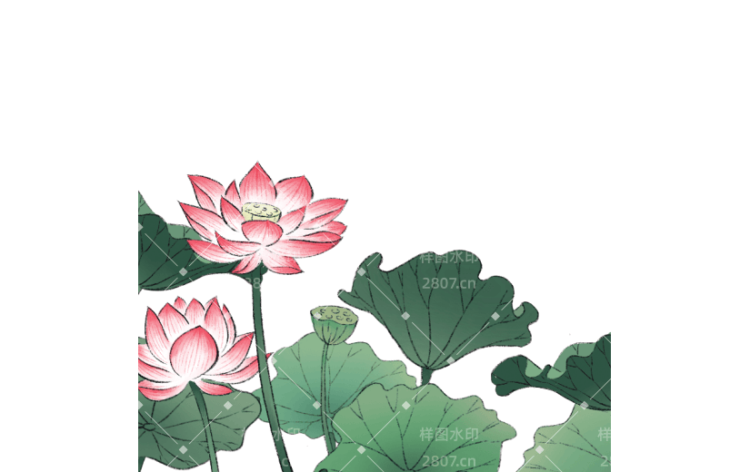 夏天古风插画荷花荷叶