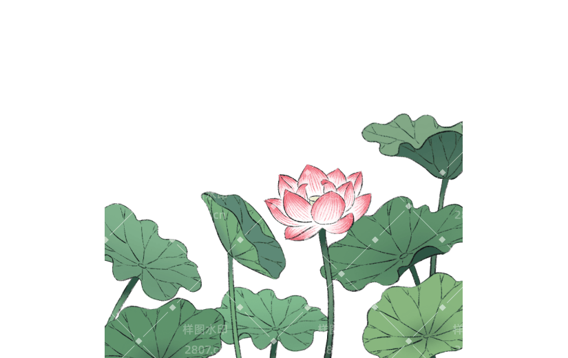 夏天古风插画荷花荷叶