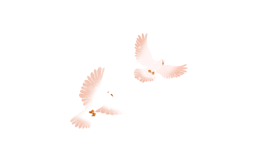 和平鸽动物手绘插画元素