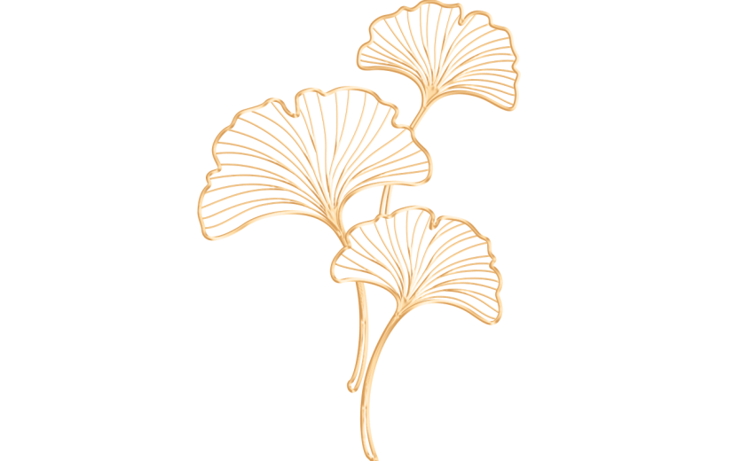 立秋通用金边白描风银杏叶植物贴纸元素素材