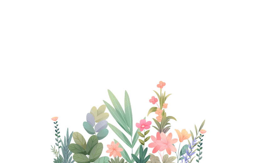 清新插画植物花朵花卉边框