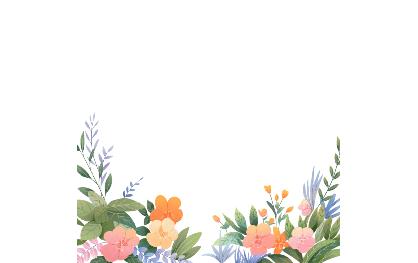 清新插画植物花朵花卉边框
