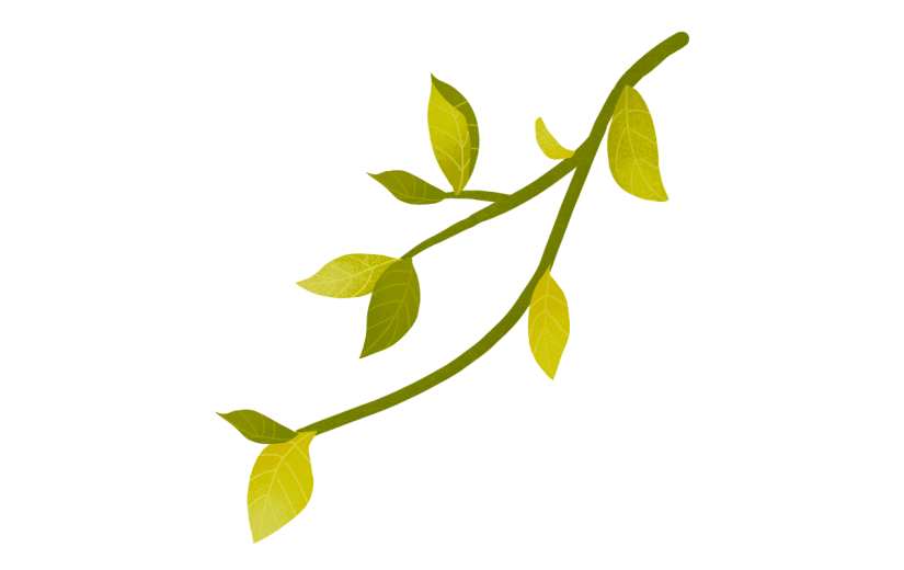 手绘风-植物贴纸-藤蔓
