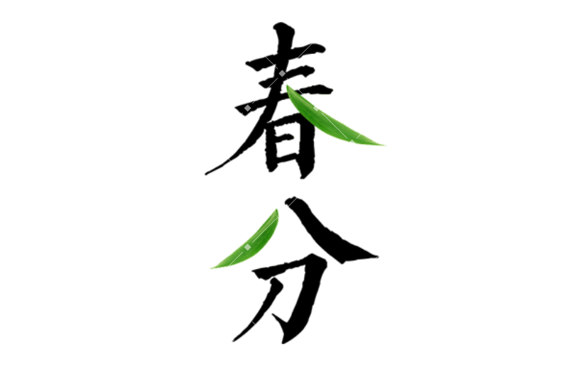 通用春分简约感贴纸