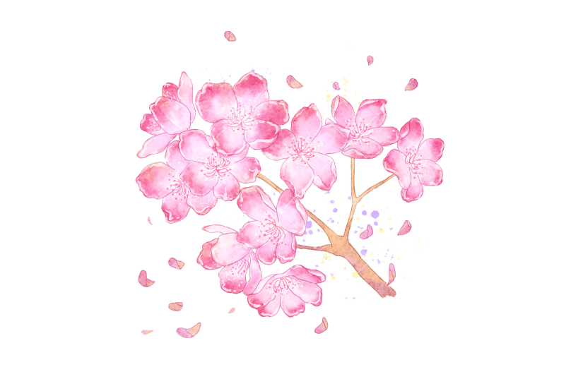 手绘粉色水彩樱花花朵插画元素9