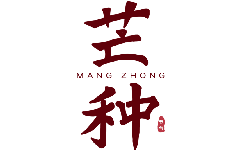 传统节气芒种节气中国风主题艺术字元素素材
