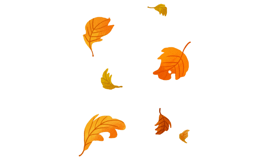 手绘-霜降节气专题-落叶2