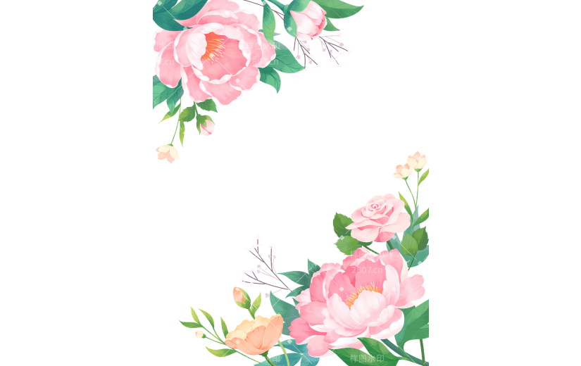 植物通用插画花朵边框元素素材