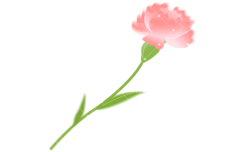 母亲节弥散康乃馨花朵植物元素素材