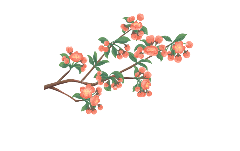 手绘橙色花朵树枝花卉植物元素