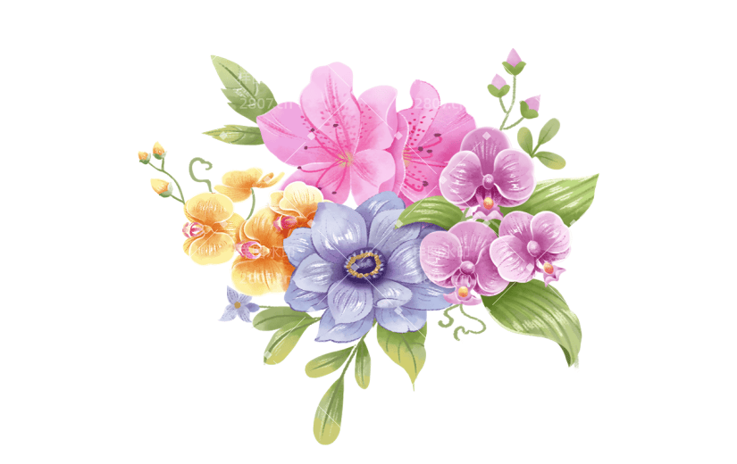 植物通用插画花朵组合元素素材