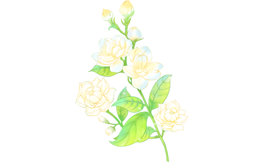植物通用清新插画花朵元素素材