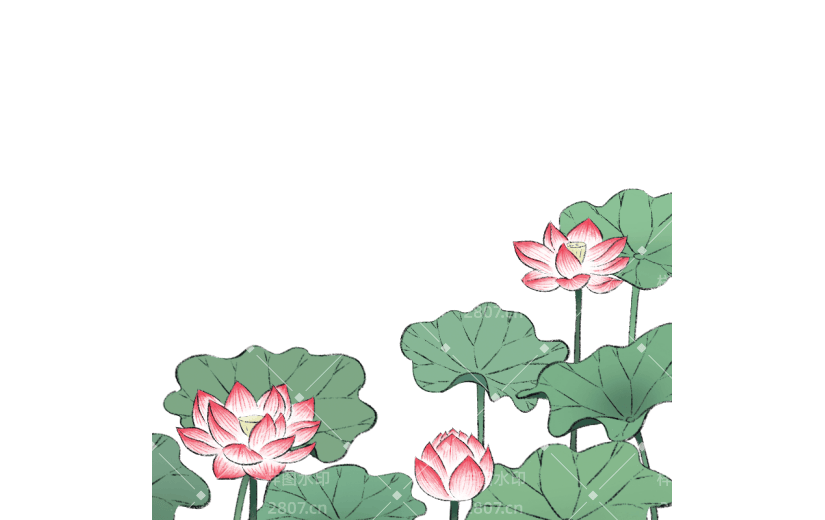 夏天古风插画荷花荷叶