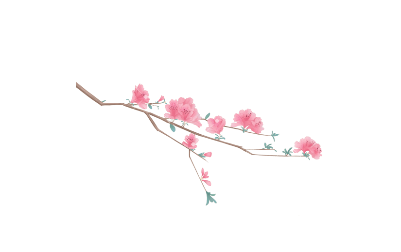 手绘粉色杜鹃花花卉植物元素